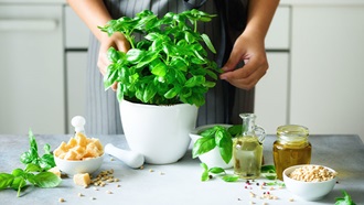 Basilico per preparare il pesto